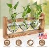 Plant Terrarium Propagation Station with 3 Heart Shaped Vases Wooden Stand Desktop Air Planter Bulb Glass Vase for Hydroponics Home Office Decor Gift