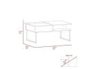DEPOT E-SHOP Atlanta Lift Top Coffee Table, One Shelf, Carbon Espresso / Onyx